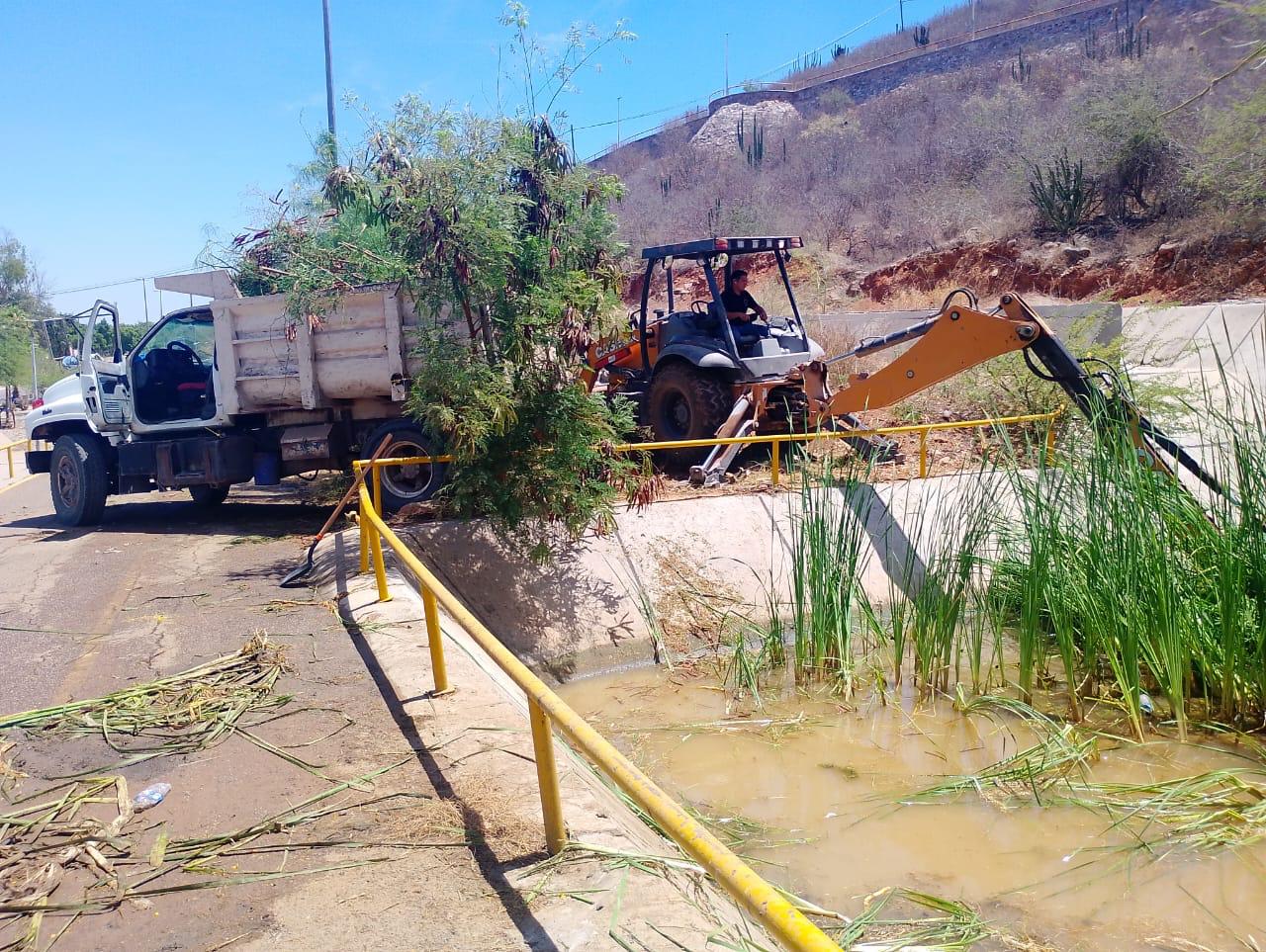 Limpian en Cerro de la Memoria