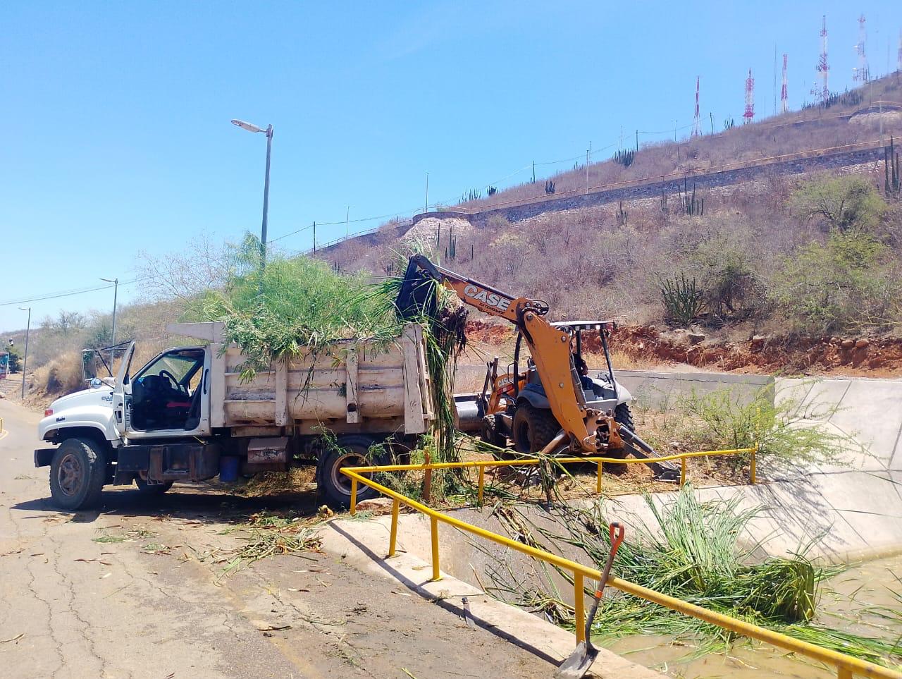 Limpian en Cerro de la Memoria