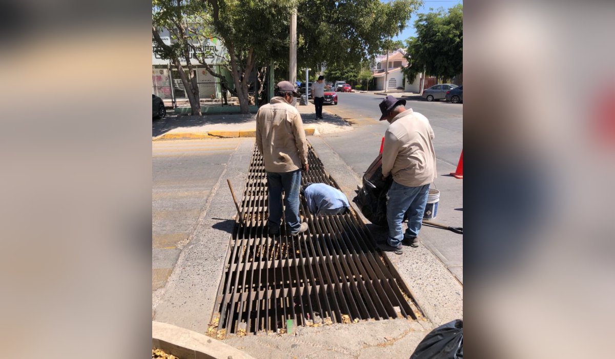 Limpieza en Guasave