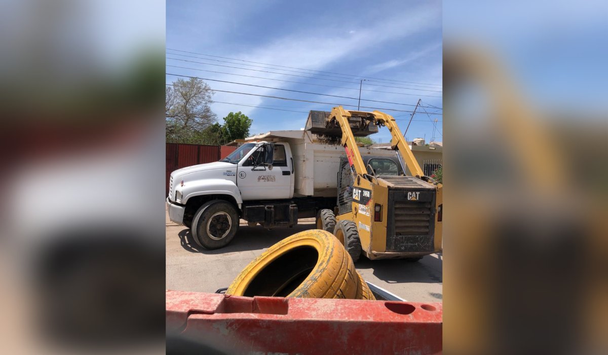 Limpieza en Guasave
