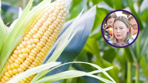 “Que estén tranquilos, los vamos a seguir apoyando”: Gobernadora Yeraldine Bonilla a productores agrícolas de Sinaloa