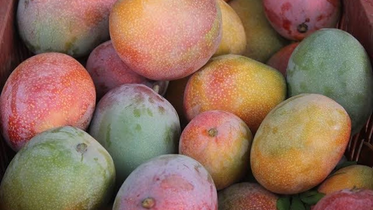 mango