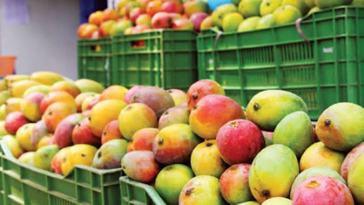 mango