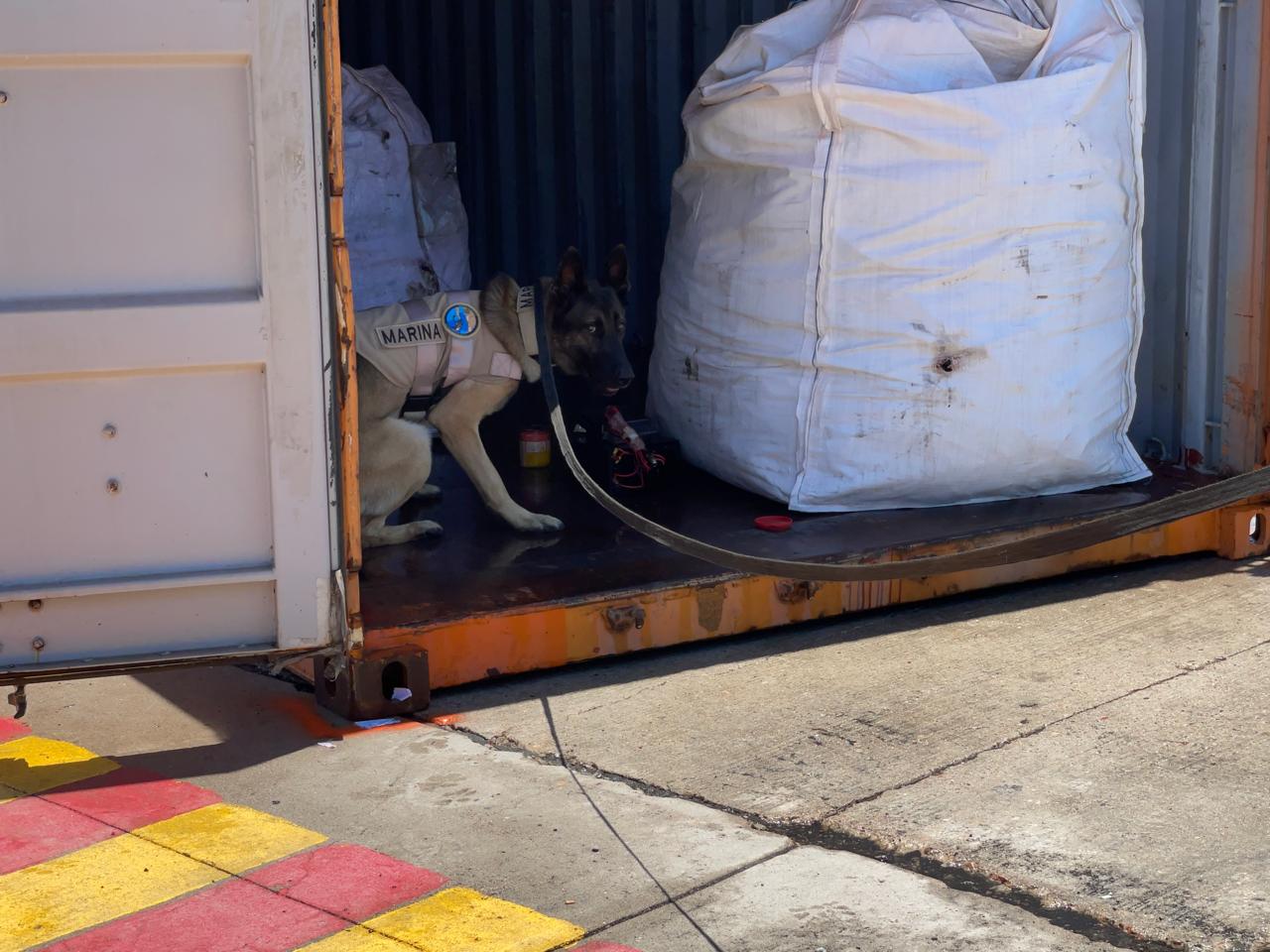 Elementos de la Marina realizan un entrenamiento en el puerto de Mazatlán