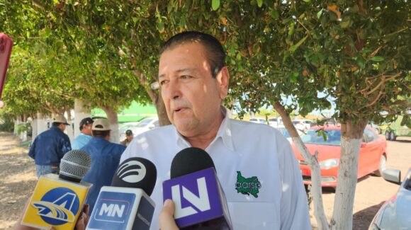 “Es un año muy complicado”; pérdidas en el campo saturan a Fondos de Aseguramiento en Guasave, Sinaloa