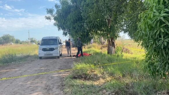 Muere adolescente electrocutado al intentar cortar mangos en Guasave, Sinaloa