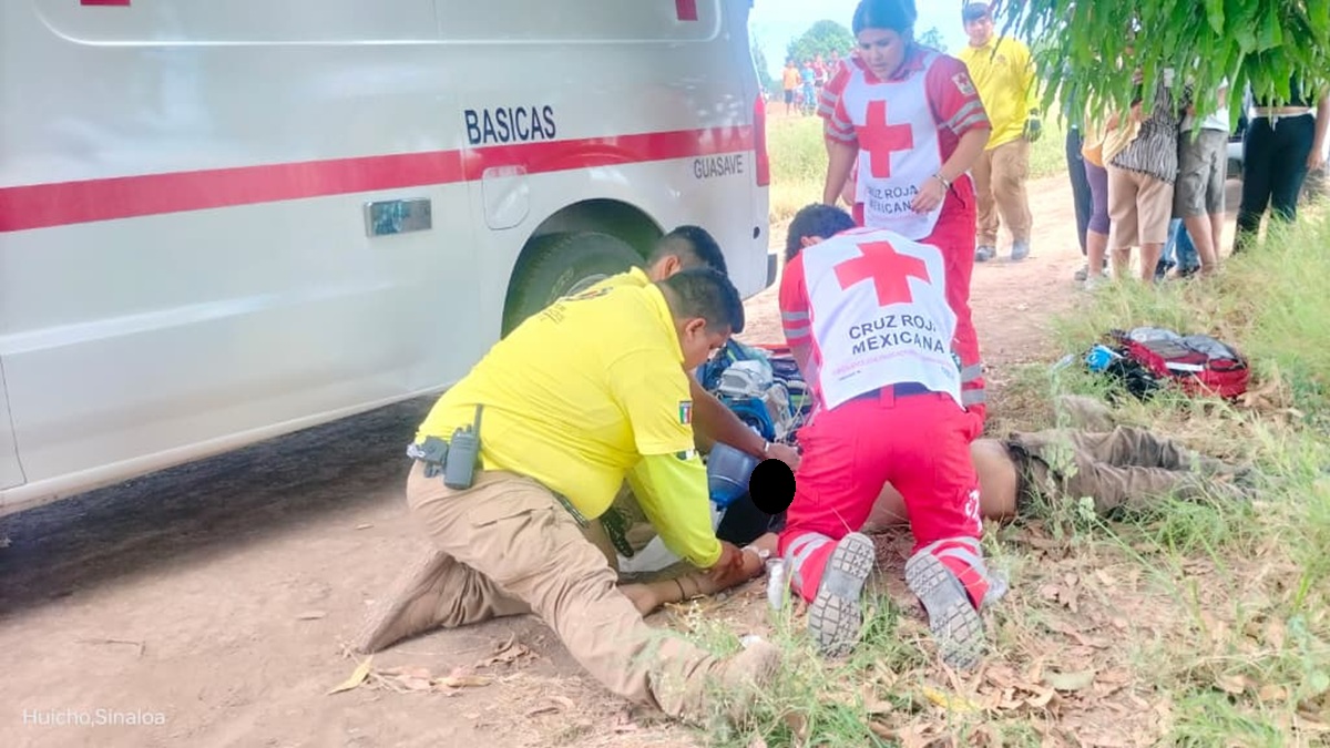Muere adolescente al recibir descarga eléctrica cuando cortaba mangos en Guasave