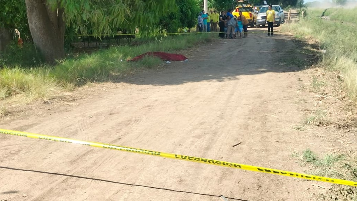Muere adolescente al recibir descarga eléctrica cuando cortaba mangos en Guasave