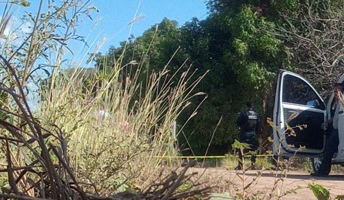 Muere adolescente al recibir descarga eléctrica cuando cortaba mangos en Guasave