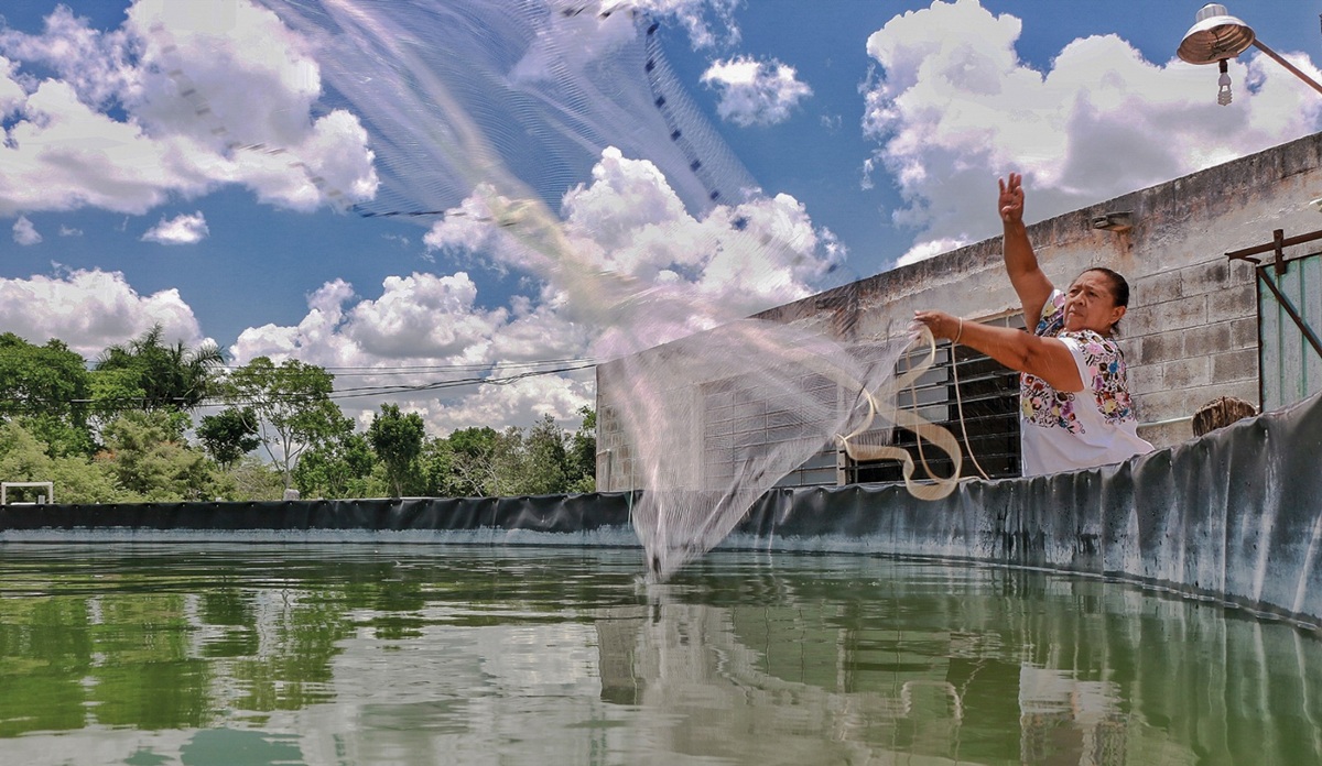Mujeres pescadoras