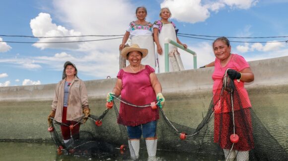 Mujeres del mar toman fuerza; Conapesca y Alianza del Pacífico impulsan a pescadoras y acuacultoras artesanales