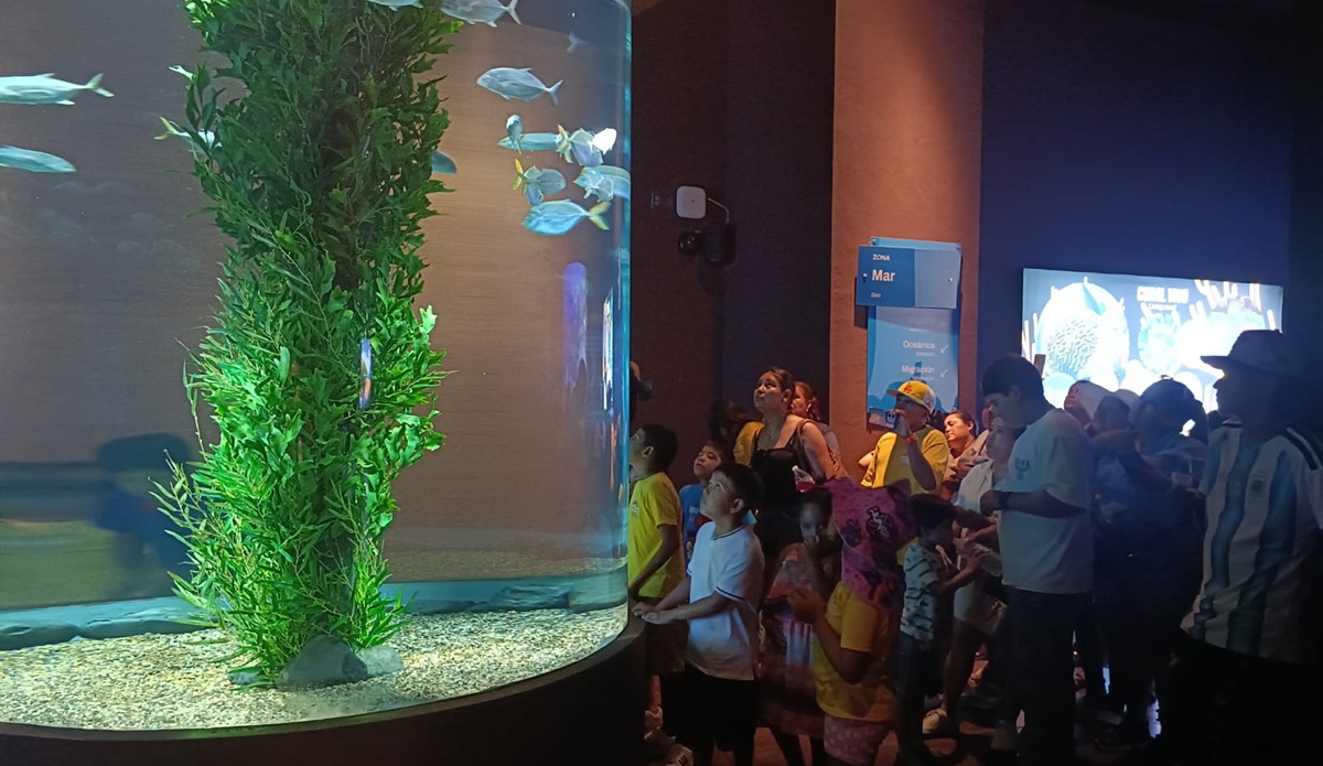 Niños de Durango y Torreón conocen el Gran Acuario Mazatlán