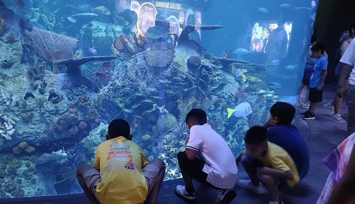 Niños de Durango y Torreón conocen el Gran Acuario Mazatlán