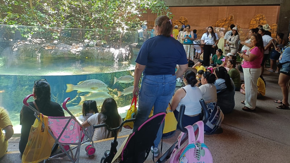 Niños de Durango y Torreón conocen el Gran Acuario Mazatlán