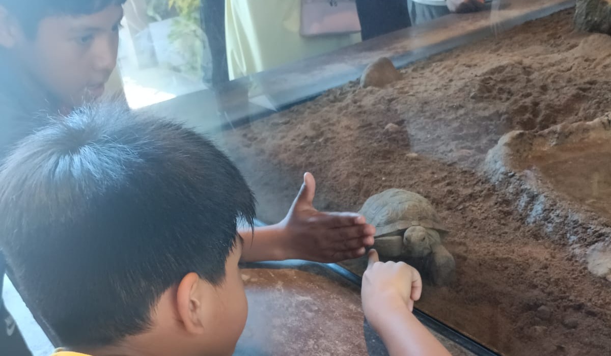 Niños de Durango y Torreón conocen el Gran Acuario Mazatlán