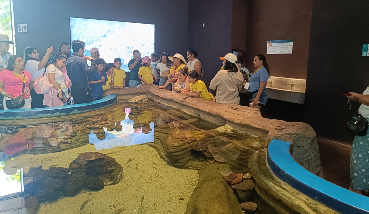 Niños de Durango y Torreón conocen el Gran Acuario Mazatlán