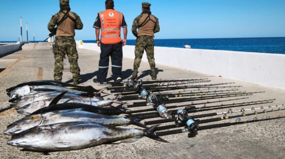 Sorprenden a yate pescando en zona protegida; Marina y Conapesca aseguran producto en Islas Marías