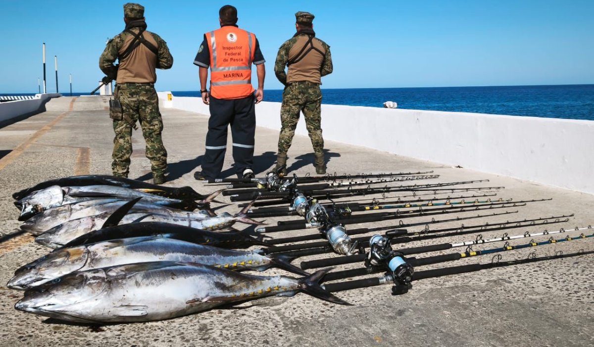 Atún y objetos decomisados tras pesca ilegal en Islas Marías