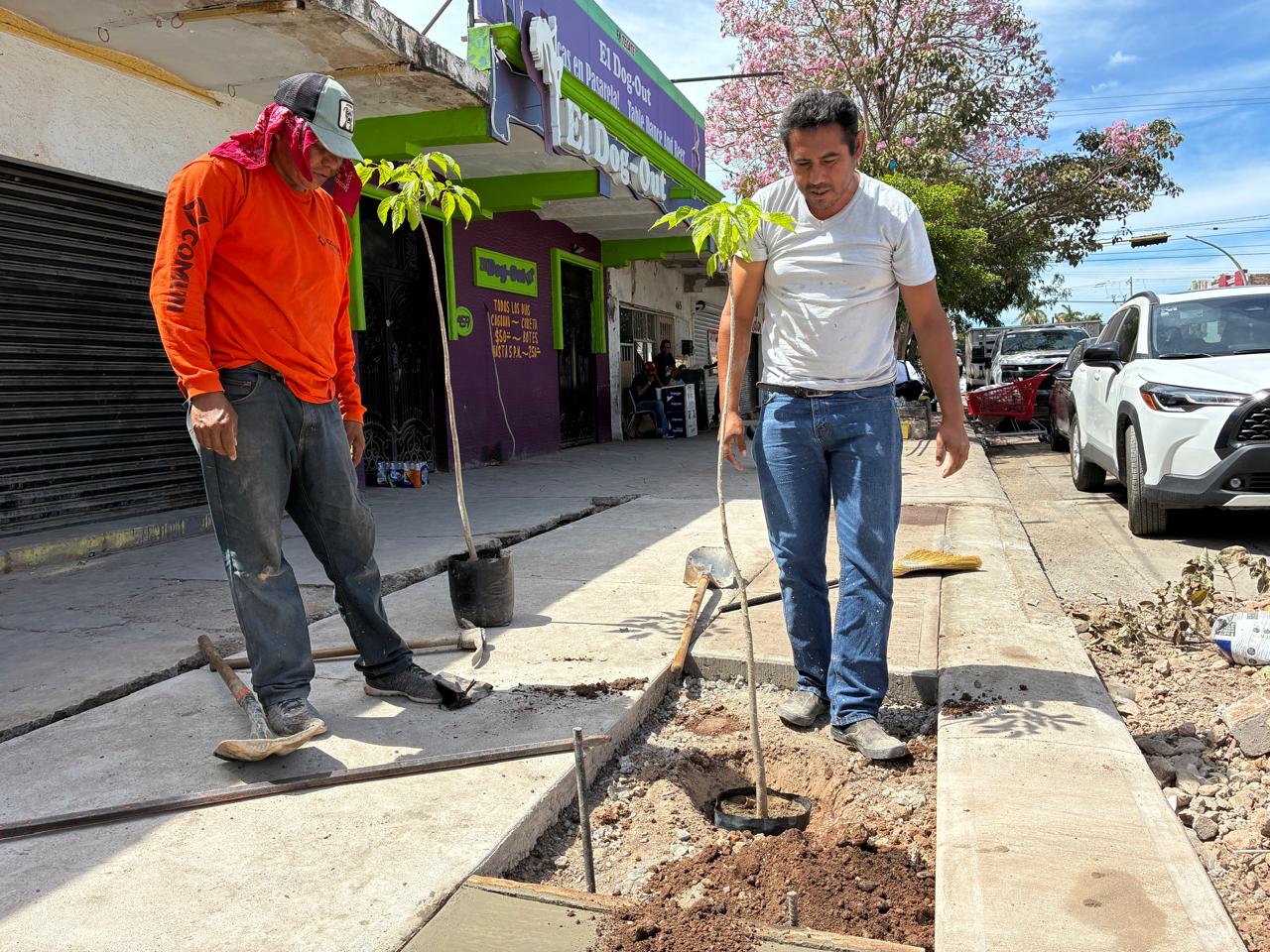 Supervisión de obras en Ahome