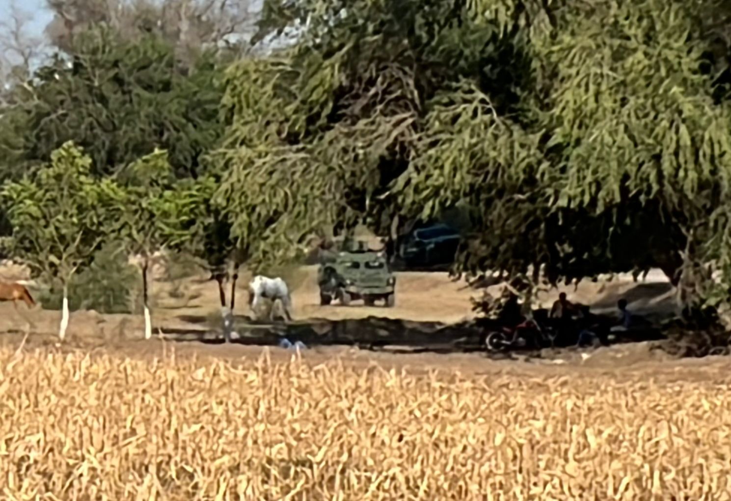 Operativo de Ejército y Guardia Nacional en Guasave