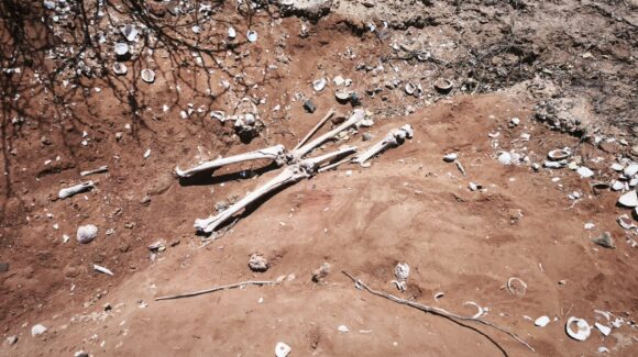 Localizan osamenta durante jornada de búsqueda en Costa Azul, Angostura
