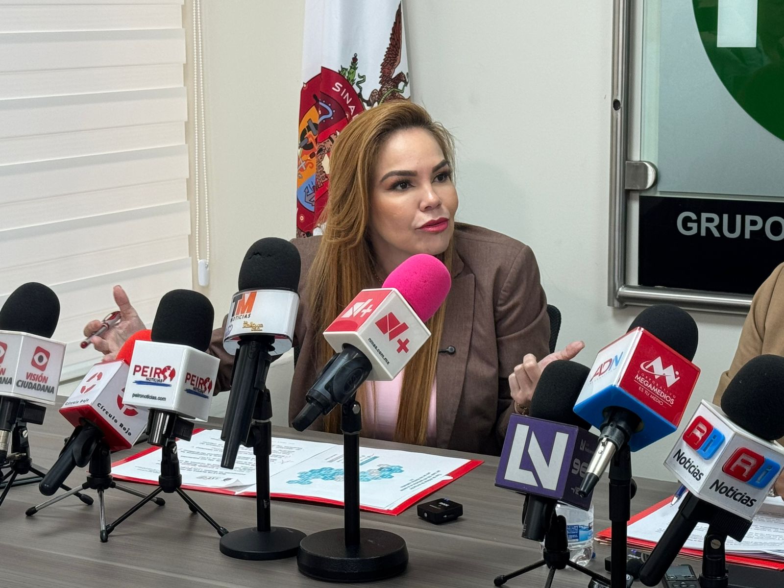 Diputada local, Paola Gárate Valenzuela