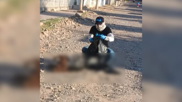 “Hoy no pudimos salvarte”: Fundación Laika denuncia presunto caso de crueldad animal