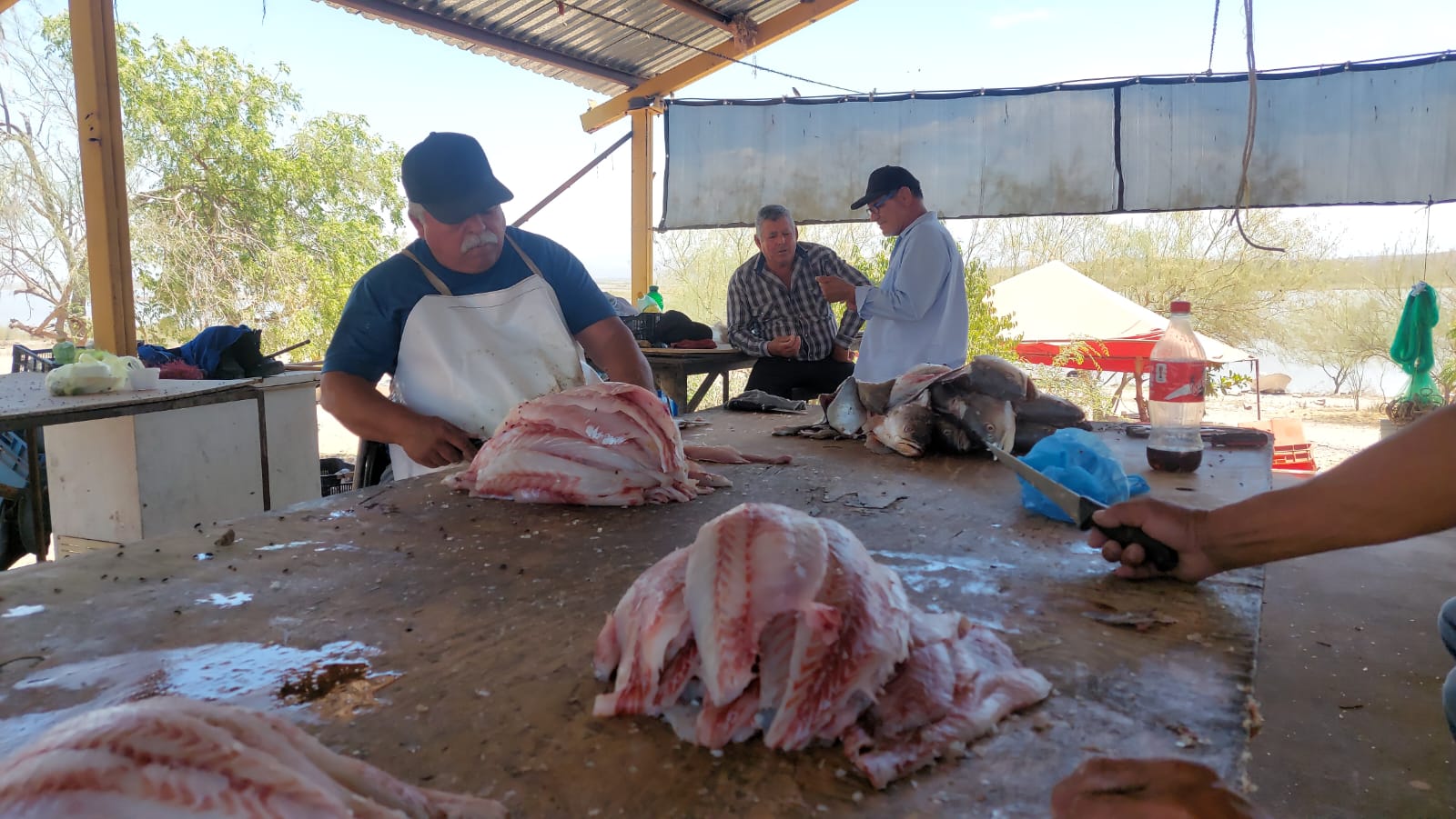 Pescadores
