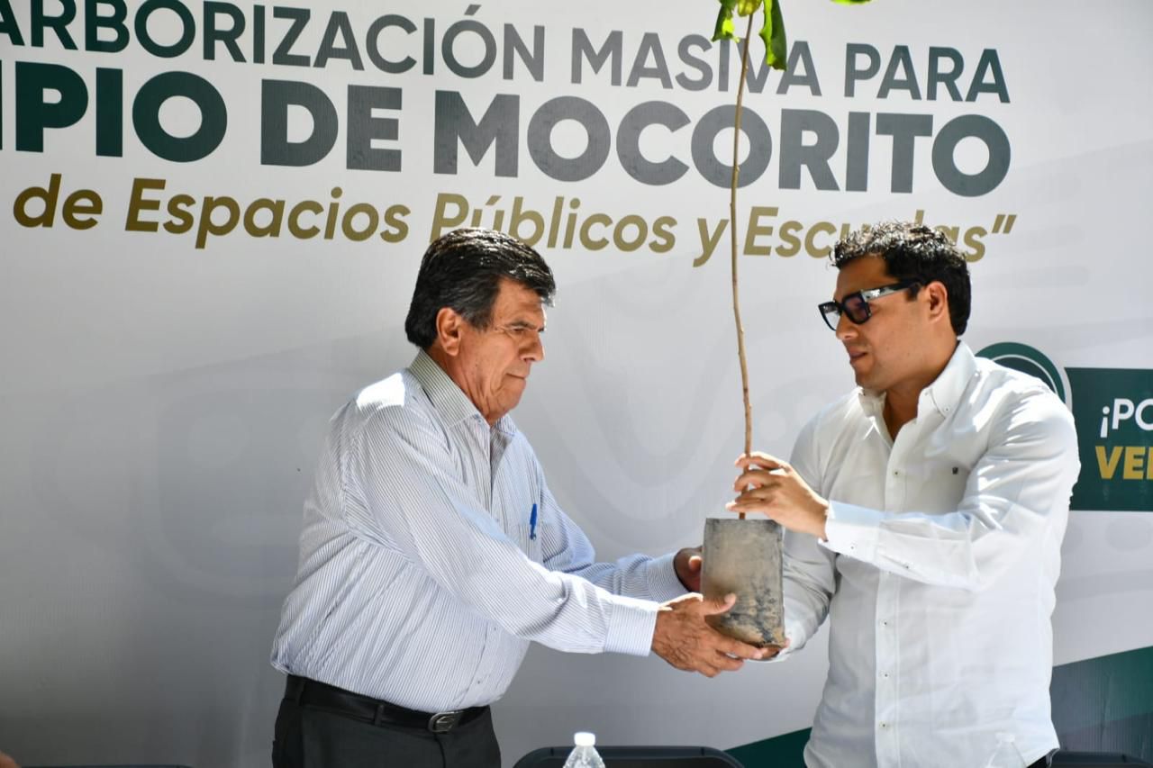 Plantación de árboles en Mocorito