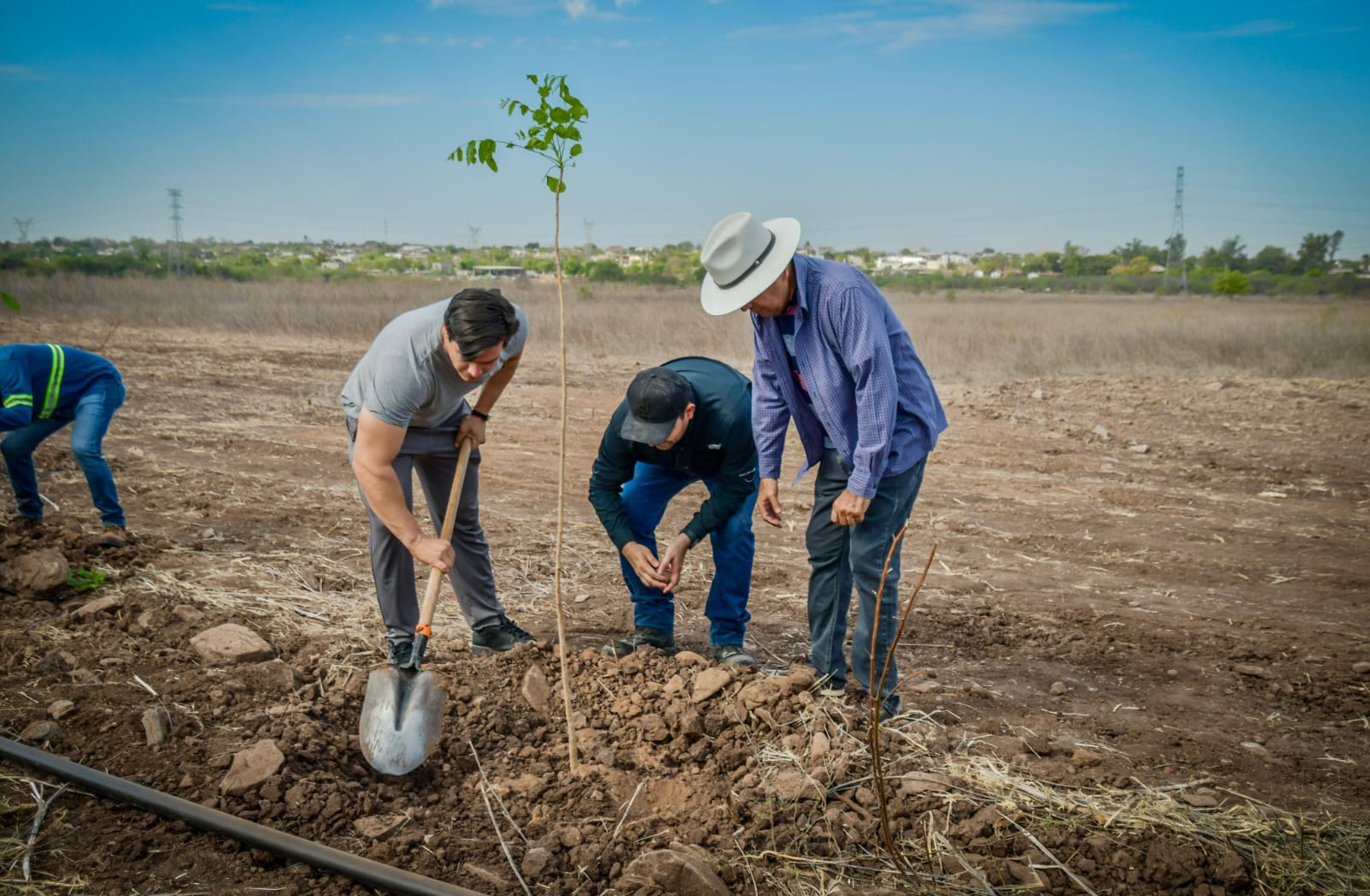 Plantan árboles en proyecto del Jardín Botánico, en Guamúchil