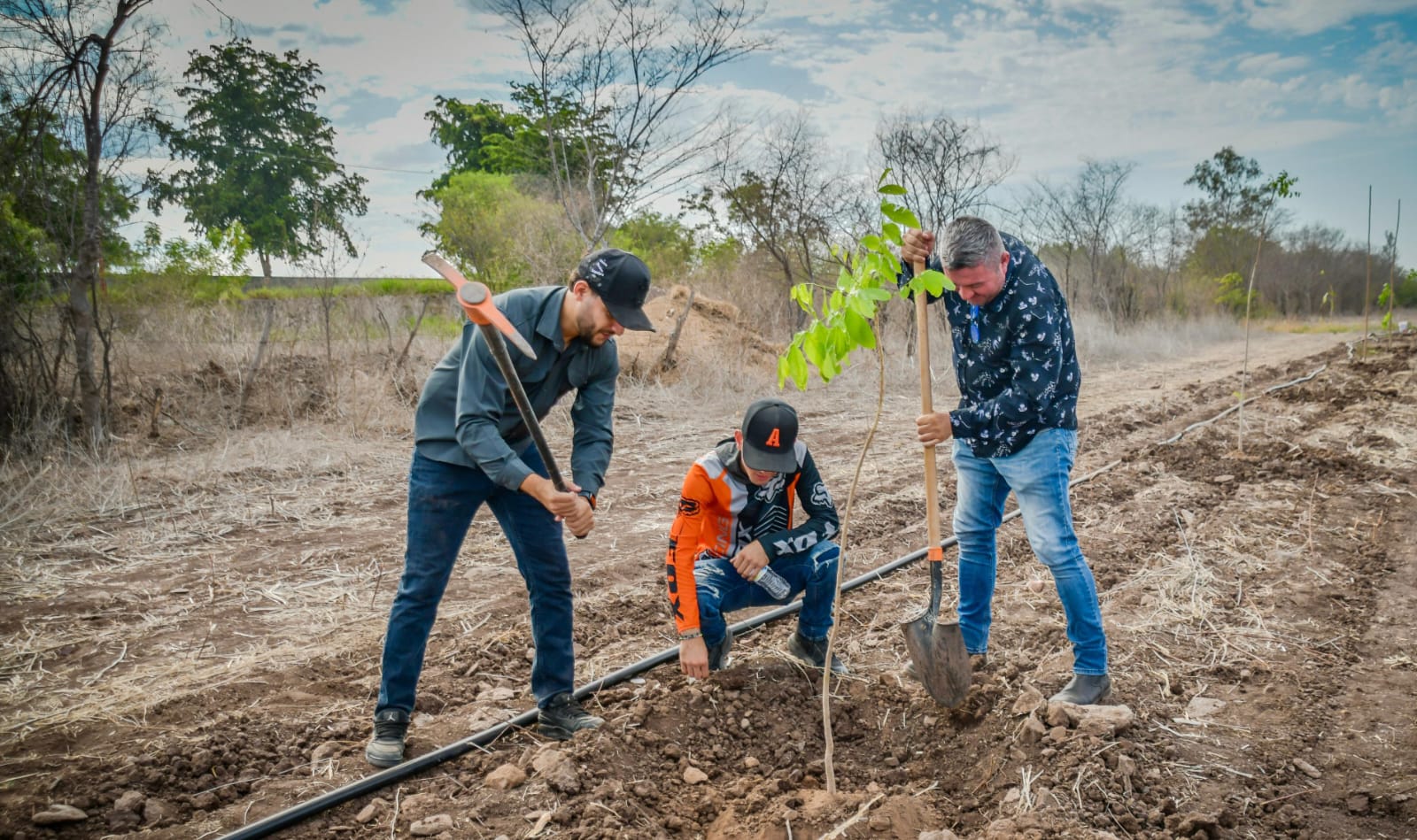 Plantan árboles en proyecto del Jardín Botánico, en Guamúchil