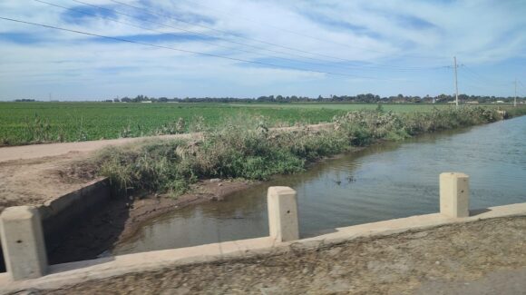 Cerrarán esta semana compuertas de agua para uso agrícola; garantizado el consumo doméstico: Red Mayor