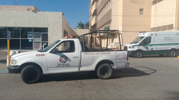 Menor sufre ataque de abejas en El Maviri, Sinaloa; PC de Ahome la traslada de emergencia al IMSS de Los Mochis