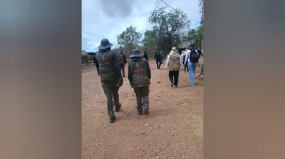 Desafían al monte, el calor y el riesgo por encontrar a sus hijos: Madres Rastreadoras de Guasave piden apoyo