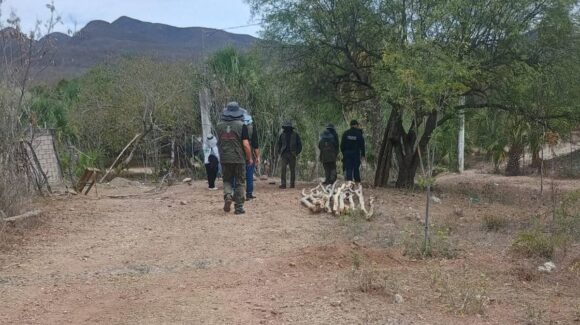 Rastreadoras de Guasave localizan restos óseos en la comunidad de El Alteño, en Sinaloa municipio