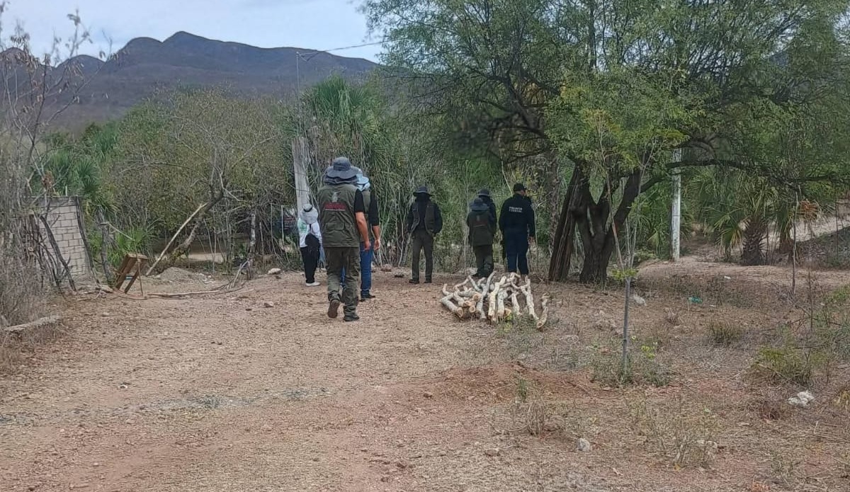 Rastreadoras de Guasave hallan restos óseos en Sinaloa municipio