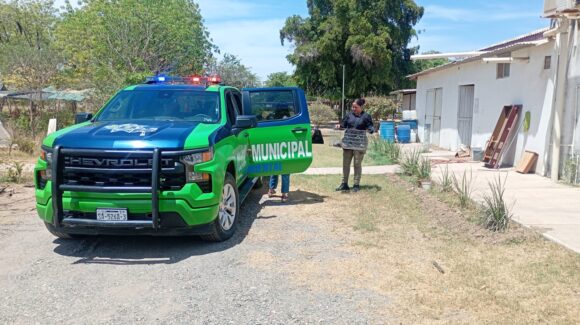 Rescatan a tlacuache lesionado en la colonia IPIS de Guasave, Sinaloa
