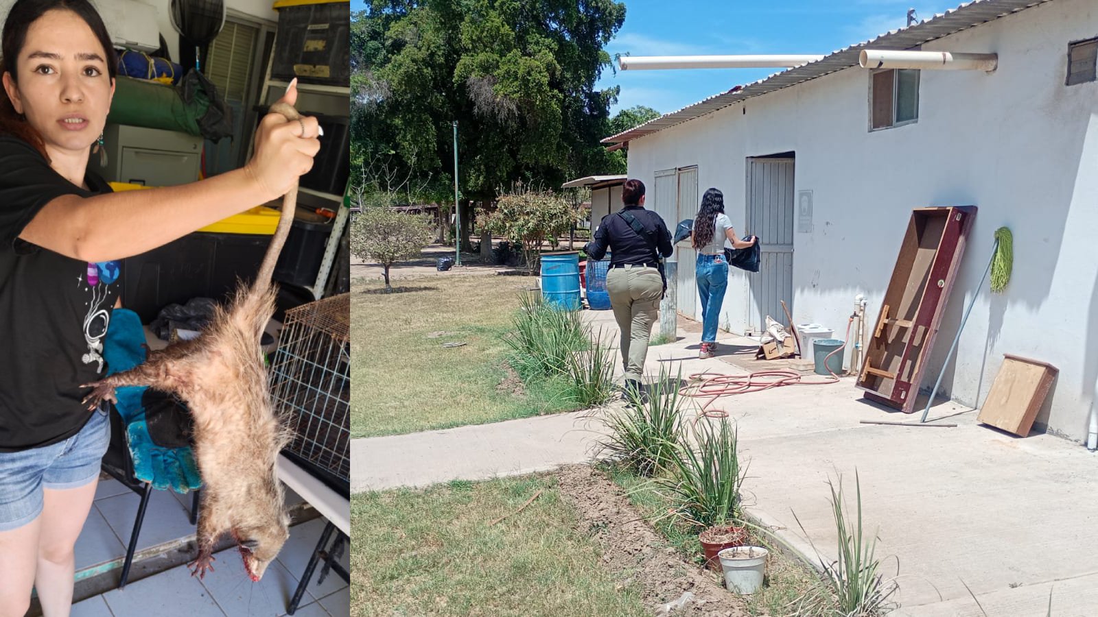 Unidad Ambiental de la Secretaría de Seguridad Ciudadana y Movilidad Sustentable