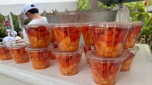semana nacional de salud publica 2026 en sinaloa comida