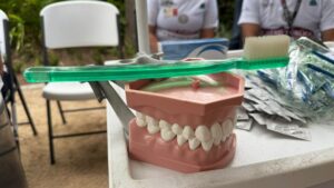 semana nacional de salud publica 2026 en sinaloa dientes