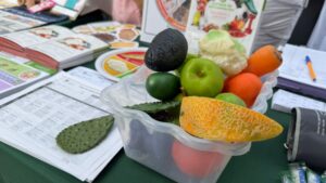 semana nacional de salud publica 2026 en sinaloa fruta