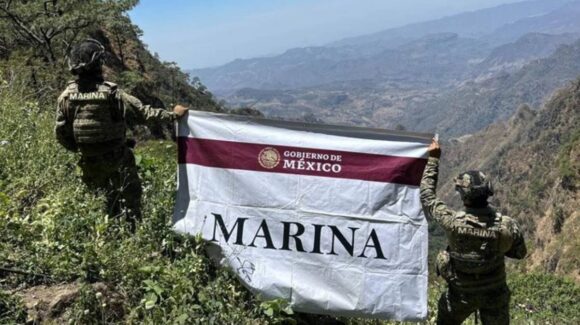 Marina destruye 37 plantíos de amapola del CJNG en Nayarit