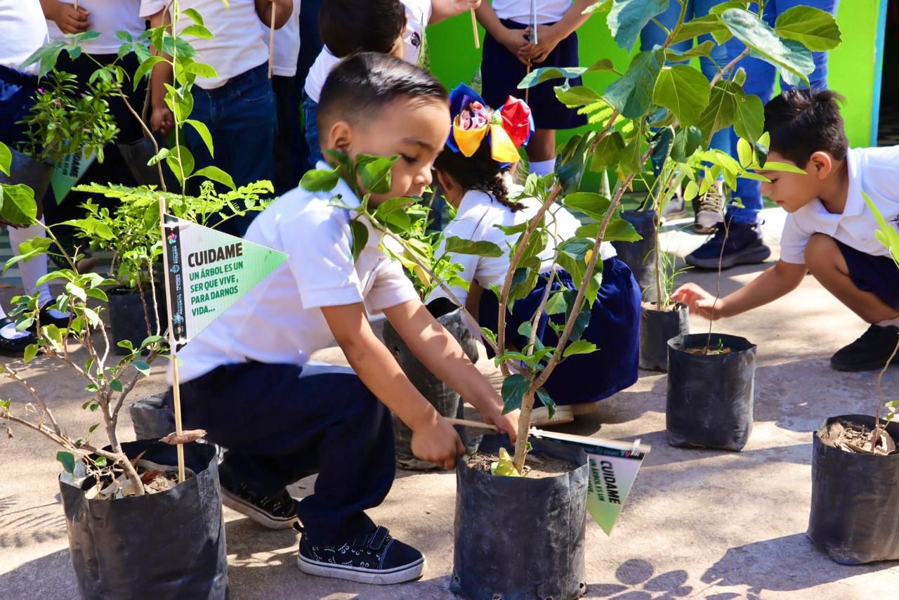 Siembran plantas en kínder de Mocorito