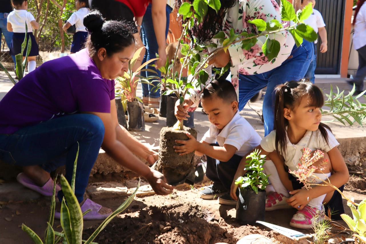 Siembran plantas en kínder de Mocorito