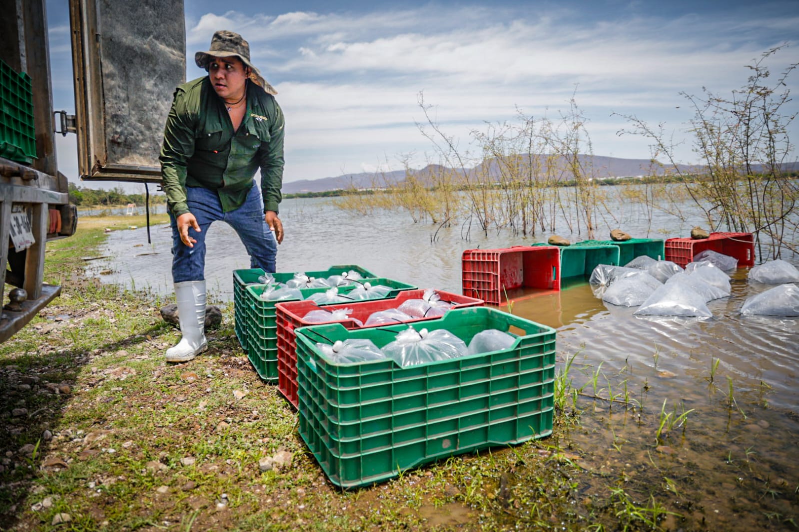 Programa de Repoblamiento de Alevines en Embalses de Agua Dulce