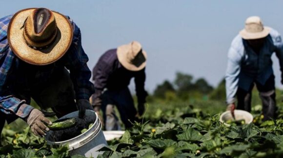 Gobierno de Trump exigirá a migrantes temporales salir de EE. UU. para solicitar residencia permanente