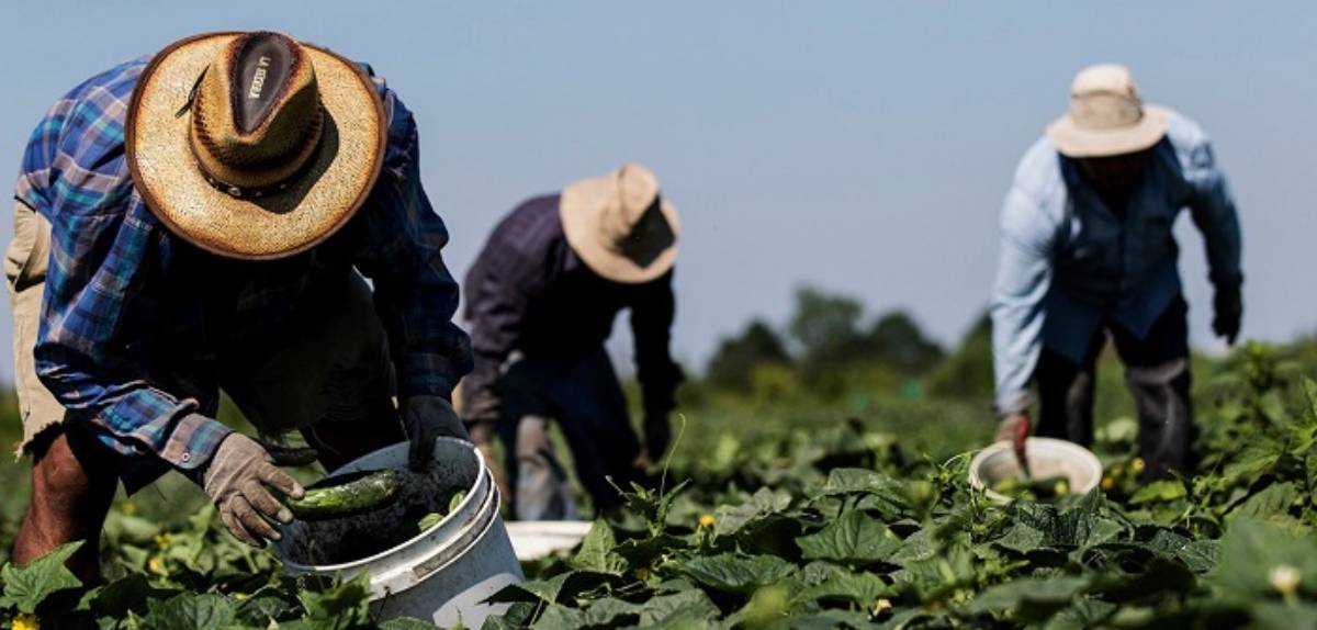 trabajadores migrantes