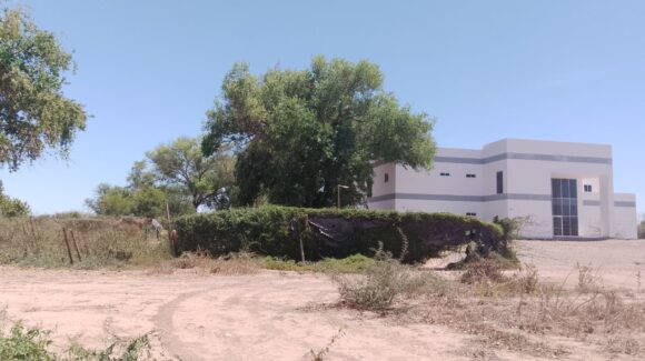 Cabildo exige al IMSS destrabar construcción de nueva clínica en Guasave, Sinaloa; aprueban nuevo requisito para donar terreno
