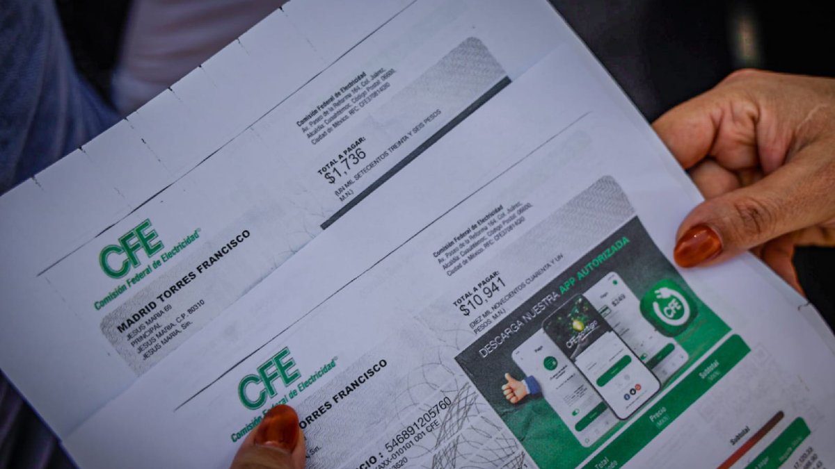 usuarios de energia electrica se manifiestan en el congreso alto
