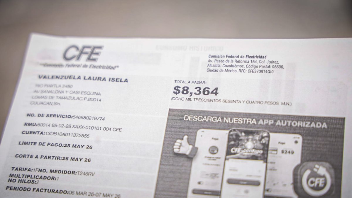 usuarios de energia electrica se manifiestan en el congreso caros